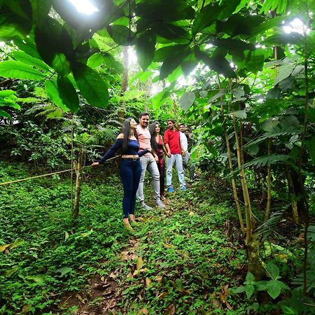 Hotel Misty Rain Estate Madikeri Exteriér fotografie
