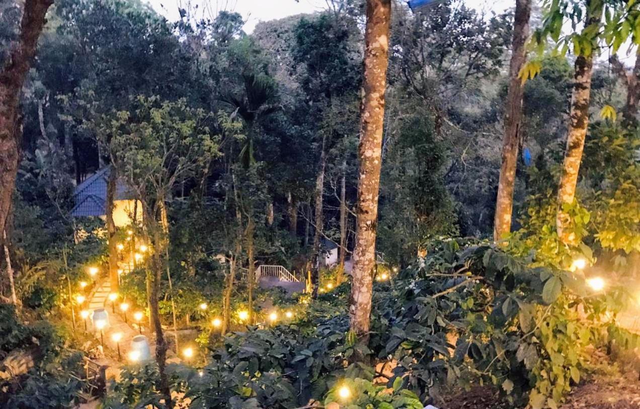 Hotel Misty Rain Estate Madikeri Exteriér fotografie