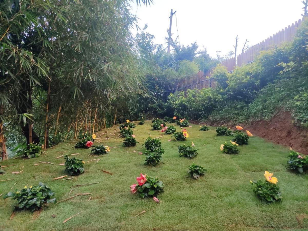 Hotel Misty Rain Estate Madikeri Exteriér fotografie