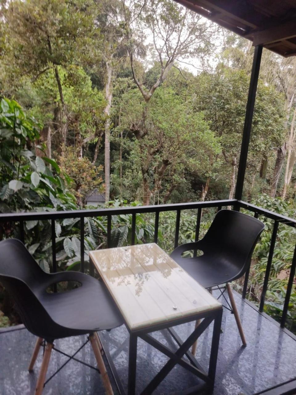 Hotel Misty Rain Estate Madikeri Exteriér fotografie
