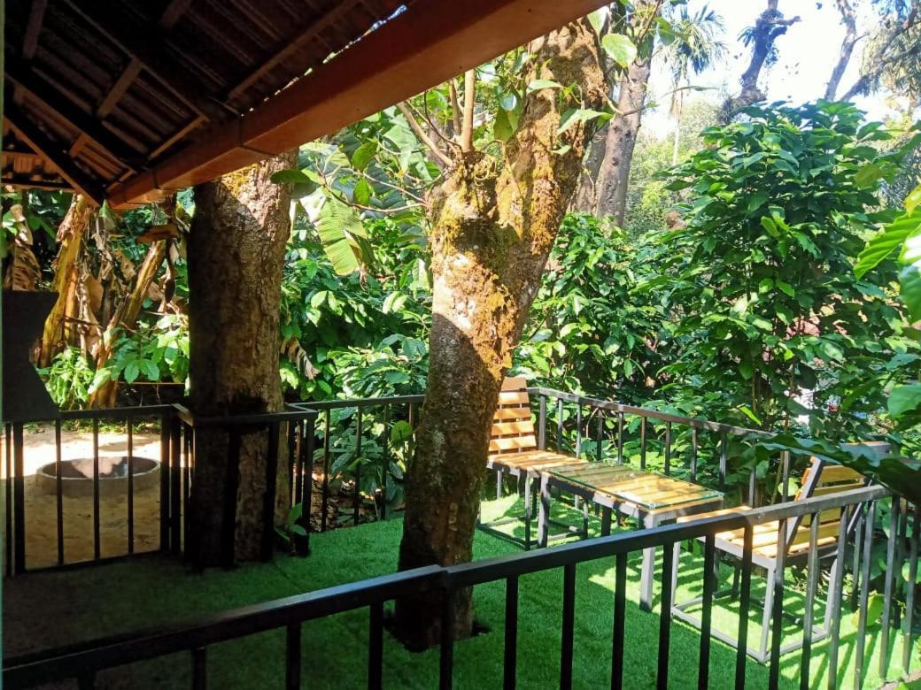 Hotel Misty Rain Estate Madikeri Exteriér fotografie