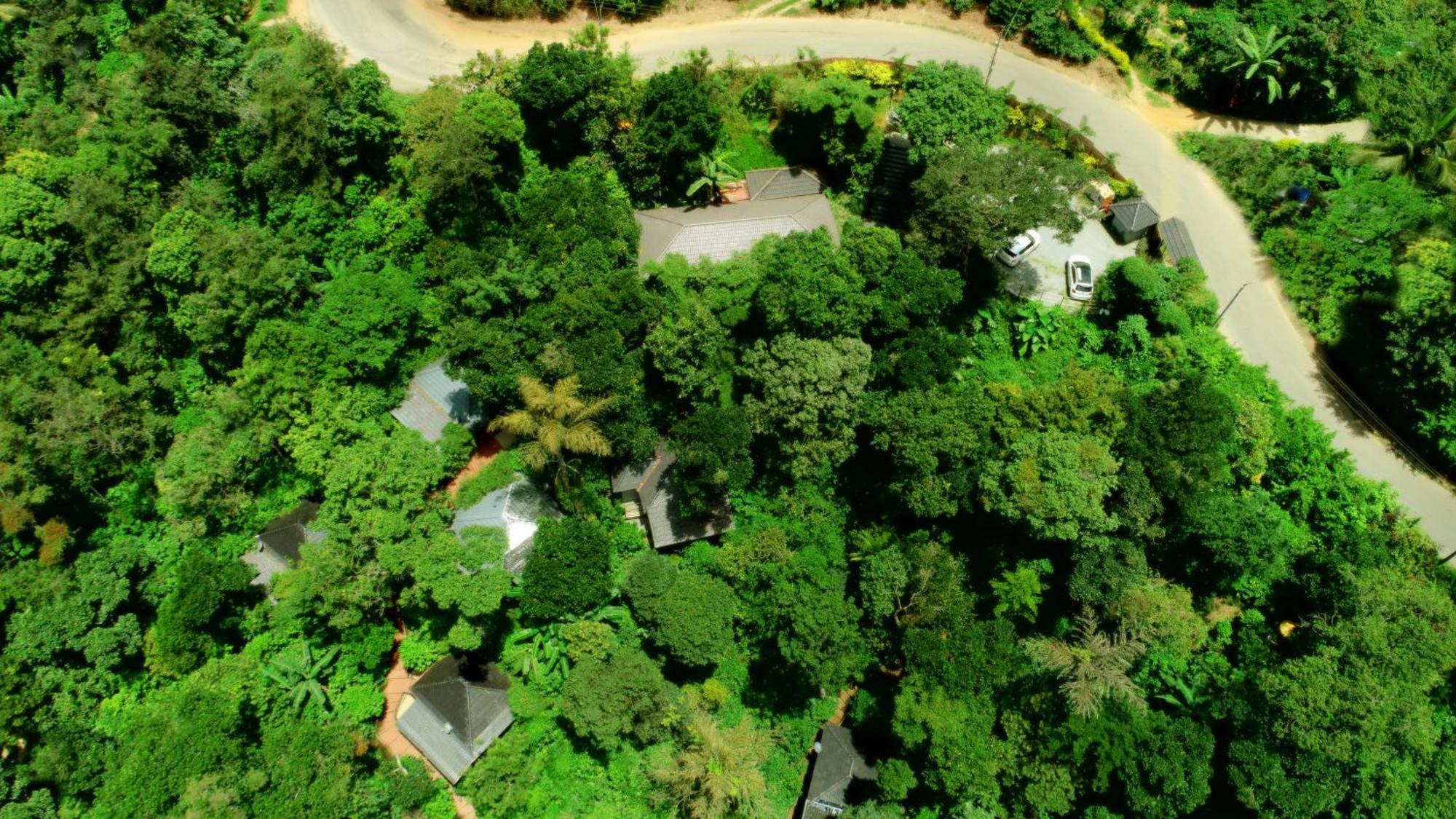 Hotel Misty Rain Estate Madikeri Exteriér fotografie