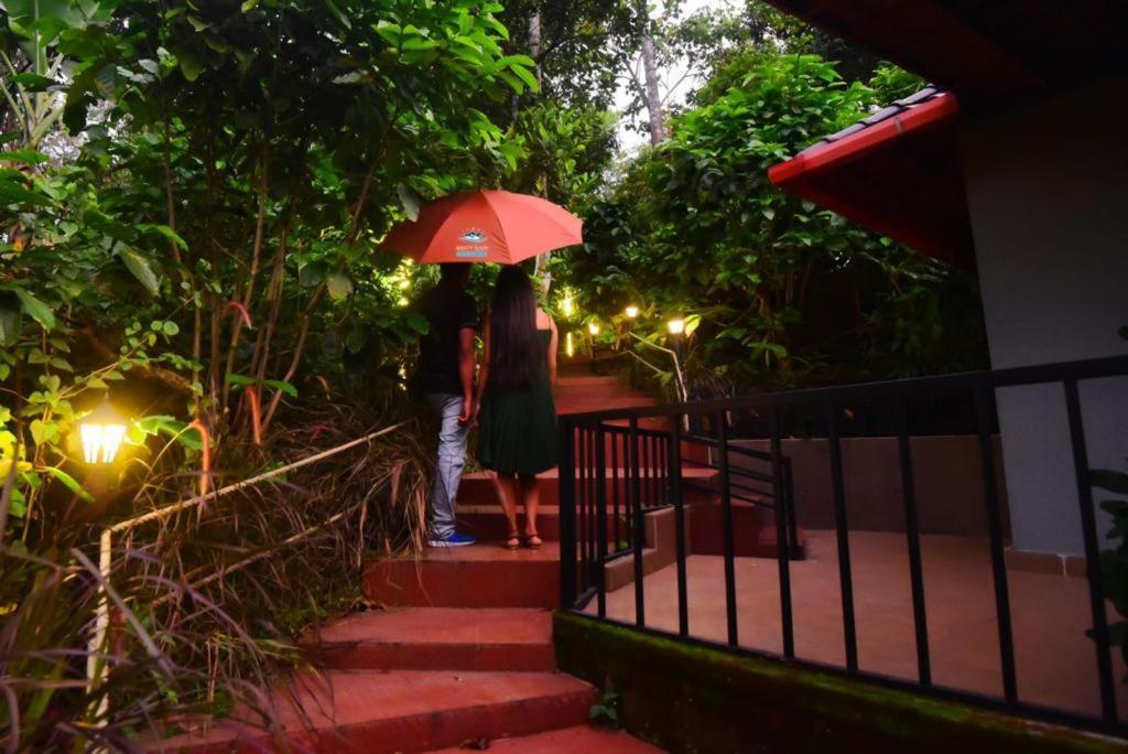 Hotel Misty Rain Estate Madikeri Exteriér fotografie