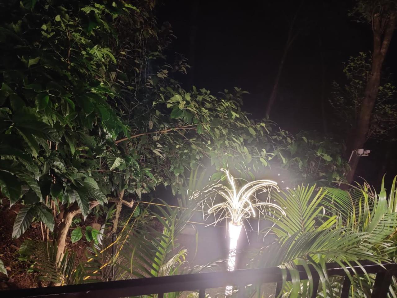 Hotel Misty Rain Estate Madikeri Exteriér fotografie
